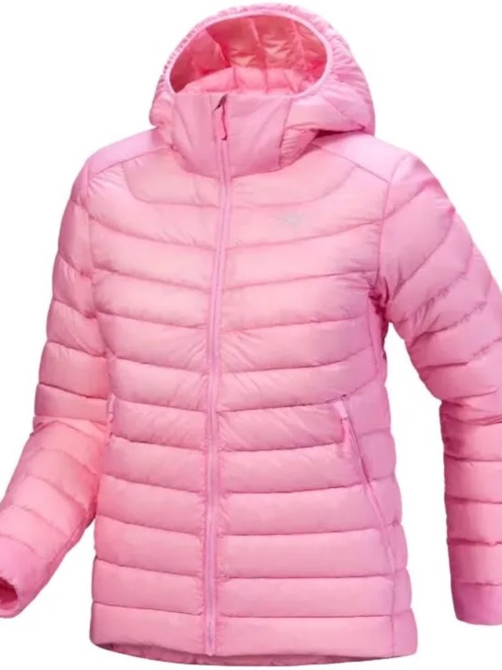 Arc'teryx Women's Cerium Pineberry - L/G